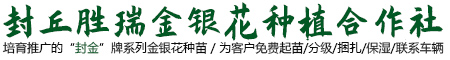 封丘勝瑞金銀花種植合作社